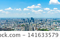 The urban landscape of Tokyo: Streetscapes of Shibuya, Nishi-Azabu, and Aoyama areas. 141633579