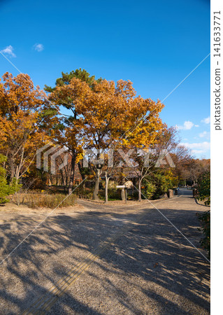 Autumn park with red leaves Autumn park with red leaves 141633771
