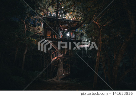 夜晚的亞納巴魯森林裡的樹屋 夜晚的亞納巴魯森林裡的樹屋 141633836
