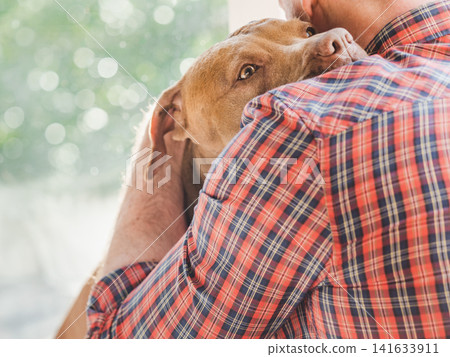 Brown Pit bull resting head on male owner's shoulder Brown Pit bull resting head on male owner's shoulder 141633911