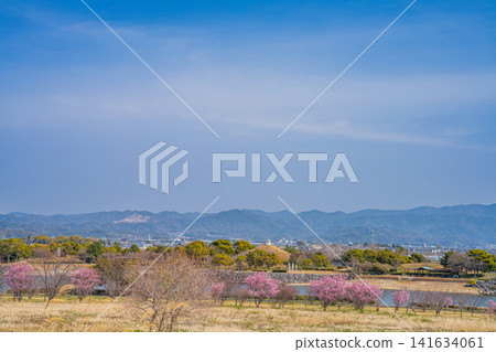 豐川市(愛知縣)的日本列島公園和街景 豐川市(愛知縣)的日本列島公園和街景 141634061