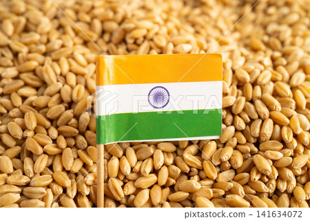 Grains wheat with India flag, trade export and economy. Grains wheat with India flag, trade export and economy. 141634072