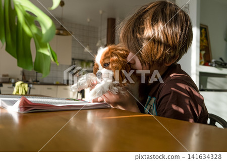 Boy reading book with his pet dog Cavalier King Charles Spaniel, Reading education, school preparation, back to school Boy reading book with his pet dog Cavalier King Charles Spaniel, Reading education, school preparation, back to school 141634328