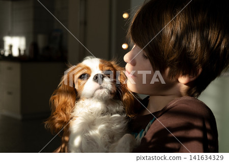 Boy reading book with his pet dog Cavalier King Charles Spaniel, Reading education, school preparation, back to school Boy reading book with his pet dog Cavalier King Charles Spaniel, Reading education, school preparation, back to school 141634329