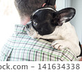 Cute French Bulldog resting head on male owner's shoulder 141634338