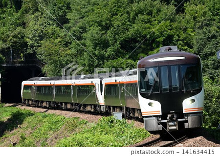HC85次特快列車飛驒3號駛過坂保木彎道 HC85次特快列車飛驒3號駛過坂保木彎道 141634415