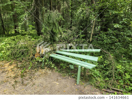 Green wooden park bench smashed by a fallen tree after a severe storm in the forest. Green wooden park bench smashed by a fallen tree after a severe storm in the forest. 141634661
