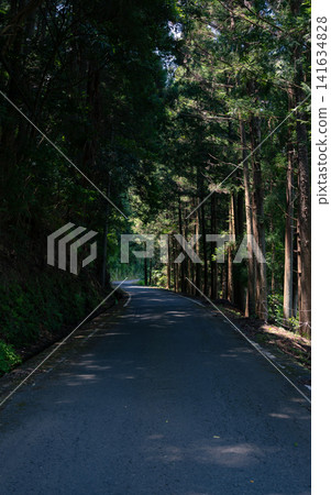 Countryside mountain path Countryside mountain path 141634828