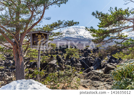 群馬縣吾妻郡嬬戀村鬼王出出花園 群馬縣吾妻郡嬬戀村鬼王出出花園 141635012