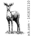 Red deer fully hand drawn animal drawing. Traditional engraving  141635110