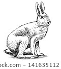 White winter rabbit hand drawn engraving. Traditional drawing 141635112