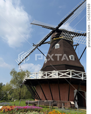 Windmills and flowerbeds against a blue sky Windmills and flowerbeds against a blue sky 141635989