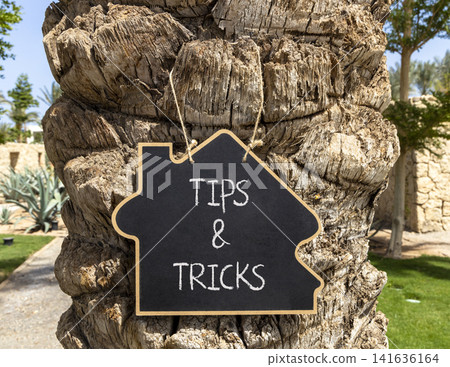Tips and tricks words symbol. Concept words Tips and tricks on beautiful black blackboard. Beautiful palm tree background. Business tips and tricks motivational support concept. Copy space. Tips and tricks words symbol. Concept words Tips and tricks on beautiful black blackboard. Beautiful palm tree background. Business tips and tricks motivational support concept. Copy space. 141636164