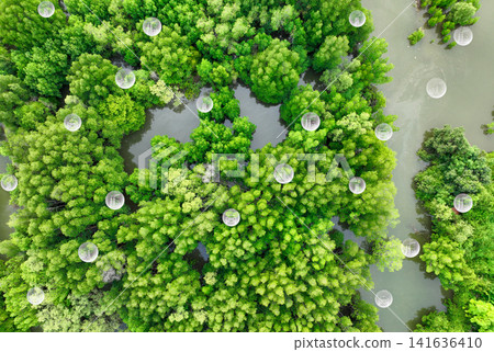 Carbon neutrality concept. Green tree capture of carbon emissions from factories and transportation. Natural carbon sinks, CO2 reduction, pollution balance, and environmental sustainability. Carbon neutrality concept. Green tree capture of carbon emissions from factories and transportation. Natural carbon sinks, CO2 reduction, pollution balance, and environmental sustainability. 141636410