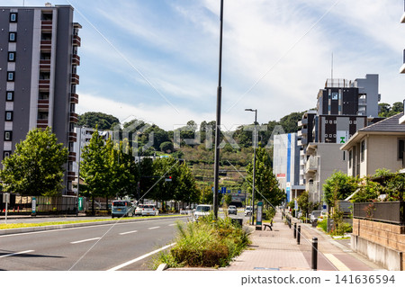 Beautiful cityscape and roads with views of blue skies and lush green mountains (eye level, daytime, bright image) [Kumamoto City] 141636594