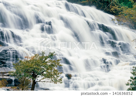 Beautiful waterfall in lush tropical green forest. Nature landscape. Mae Ya Waterfall is situated in Doi Inthanon National Park, Chiang Mai, Thailand. Waterfall flows through jungle on mountainside. Beautiful waterfall in lush tropical green forest. Nature landscape. Mae Ya Waterfall is situated in Doi Inthanon National Park, Chiang Mai, Thailand. Waterfall flows through jungle on mountainside. 141636852