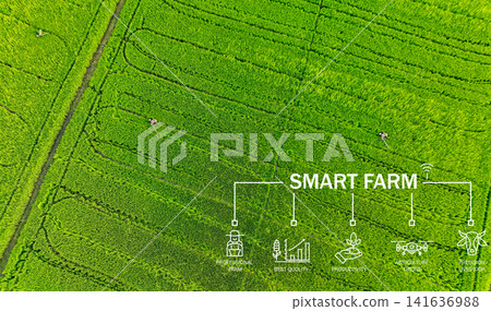 Smart farm technology meets agricultural expertise. Precision livestock management and agriculture drones enhance productivity. Modern farming practices. Innovation in sustainable agriculture. 141636988