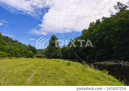 Beautiful landscape with summer nature. Jihlava River Valley - South Moravia - Czech Republic. Beautiful landscape with summer nature. Jihlava River Valley - South Moravia - Czech Republic. 141637214