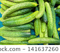A pile of fresh green cucumbers on display at a grocery store. 141637260