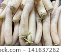 A pile of fresh white daikon radishes at a market. 141637262