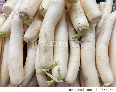 A pile of fresh white daikon radishes at a market. A pile of fresh white daikon radishes at a market. 141637262