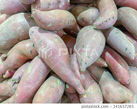 Pile of fresh red-skinned sweet potatoes on display at a grocery store Pile of fresh red-skinned sweet potatoes on display at a grocery store 141637265