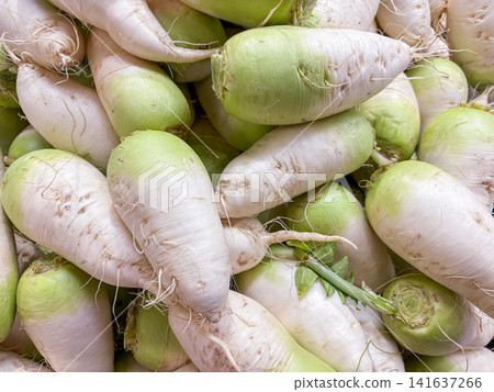Fresh Korean radishes with green tops piled in a market display Fresh Korean radishes with green tops piled in a market display 141637266