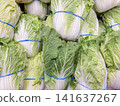 Fresh napa cabbage heads tied with blue bands stacked in a grocery store 141637267