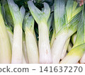 Close-up of fresh green and white leeks with water droplets 141637270