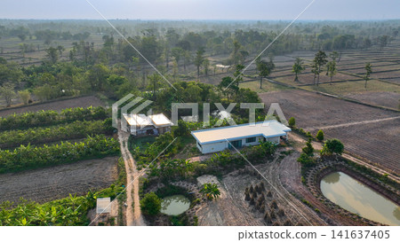 Farmhouse surrounded by cultivated farmland, irrigation ponds, banana plantations, and productive crop fields. Sustainable agriculture and self sufficient living. Modern farming and land management. Farmhouse surrounded by cultivated farmland, irrigation ponds, banana plantations, and productive crop fields. Sustainable agriculture and self sufficient living. Modern farming and land management. 141637405