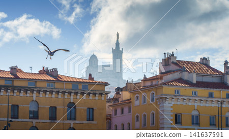 marseille, bird, building 141637591