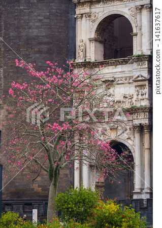 NAPLES, ITALY - NOVEMBER 05, 2018 - The medieval castle of Maschio Angioino or Castel Nuovo New Castle and the silk tree in bloom, Napoli NAPLES, ITALY - NOVEMBER 05, 2018 - The medieval castle of Maschio Angioino or Castel Nuovo New Castle and the silk tree in bloom, Napoli 141637617