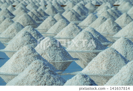 Sea salt piles in traditional salt farm during solar evaporation process for natural sodium chloride production and sustainable mineral harvesting in Thailand. Organic sea salt crystallization. Sea salt piles in traditional salt farm during solar evaporation process for natural sodium chloride production and sustainable mineral harvesting in Thailand. Organic sea salt crystallization. 141637814