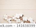 Branch with white fluffy cotton flowers on light background. 141638399
