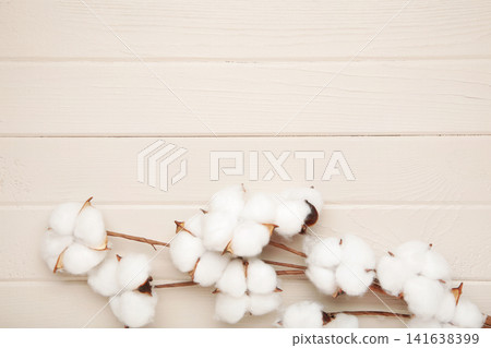 Branch with white fluffy cotton flowers on light background. 141638399