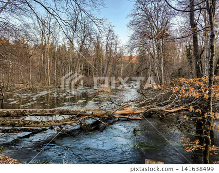 Wurm river in Bavaria, Germany with fallen trees and bare forest in late autumn, clear flowing water in natural woodland landscape near Munich Wurm river in Bavaria, Germany with fallen trees and bare forest in late autumn, clear flowing water in natural woodland landscape near Munich 141638499