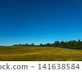 green field and blue sky 141638584