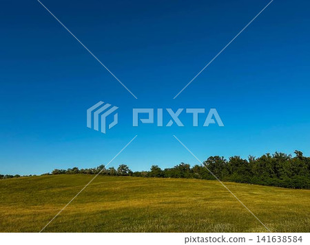 green field and blue sky green field and blue sky 141638584
