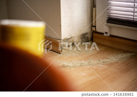 Ant Infestation Along Floor Edge: Home Interior Damage And Pest Contamination Near Wall 141638981