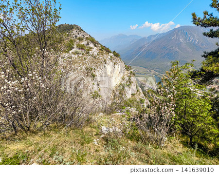 Climbing Garden Placca D Argento At Forte San Marco: Blossoming Trees Framing Cliffside Route In Spring Climbing Garden Placca D Argento At Forte San Marco: Blossoming Trees Framing Cliffside Route In Spring 141639010