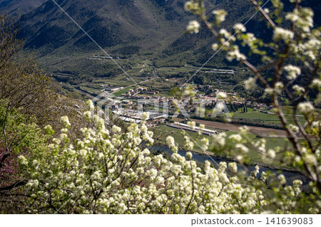 Adige River Valley And Dolci Village Viewed From Placca Del Forte San Marco: Panoramic Spring Landscape Near Lake Garda Adige River Valley And Dolci Village Viewed From Placca Del Forte San Marco: Panoramic Spring Landscape Near Lake Garda 141639083