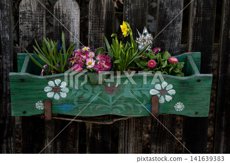 Wooden Fence With Green Flower Box: Colorful Garden Flowers Growing In Rustic Outdoor Setting 141639383