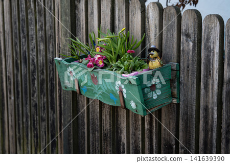 Wooden Fence With Green Flower Box: Colorful Garden Flowers Growing In Rustic Outdoor Setting 141639390