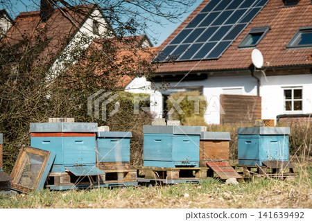 Colorful Beehives In Rural Garden Apiary: Backyard Beekeeping Scene With Solar Roof Houses In Bavaria Germany Colorful Beehives In Rural Garden Apiary: Backyard Beekeeping Scene With Solar Roof Houses In Bavaria Germany 141639492