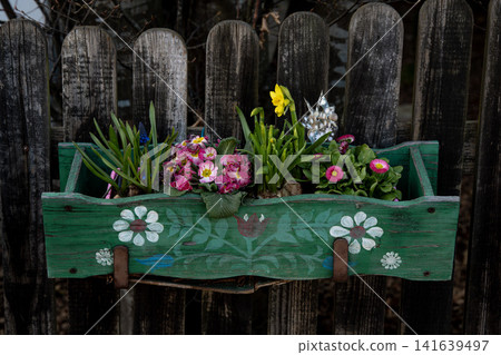 Wooden Fence With Green Flower Box: Colorful Garden Flowers Growing In Rustic Outdoor Setting 141639497