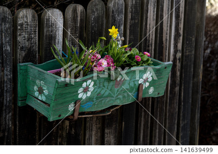 Wooden Fence With Green Flower Box: Colorful Garden Flowers Growing In Rustic Outdoor Setting Wooden Fence With Green Flower Box: Colorful Garden Flowers Growing In Rustic Outdoor Setting 141639499