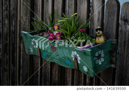Wooden Fence With Green Flower Box: Colorful Garden Flowers Growing In Rustic Outdoor Setting 141639500