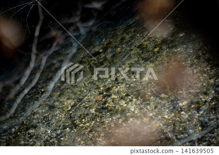 Clear Water Of Amper River Near Munich: Pebbled Riverbed Visible Through Flowing Freshwater In Bavaria Clear Water Of Amper River Near Munich: Pebbled Riverbed Visible Through Flowing Freshwater In Bavaria 141639505