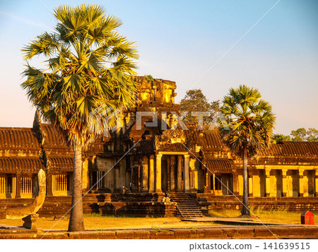 Ancient Angkor Wat temple entrance with sugar palm trees in warm golden hour sunlight, Siem Reap, Cambodia Ancient Angkor Wat temple entrance with sugar palm trees in warm golden hour sunlight, Siem Reap, Cambodia 141639515