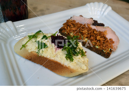 Two czech open faced sandwiches on a white plate with herb and vegetable toppings for lunch snack or restaurant serving presentation Two czech open faced sandwiches on a white plate with herb and vegetable toppings for lunch snack or restaurant serving presentation 141639675